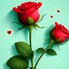 user14717478430237