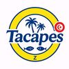 tacapes_africanus