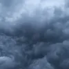 gav_amnam_555_xyi_993