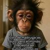 ignacio.evangelis8