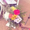 kylee_odtx4