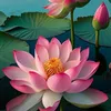 binhyen3934