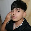 zinosur