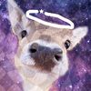 universedeer_