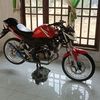 revaldi559