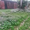 tue.ngoc4