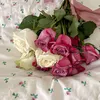 nawa.l_25j