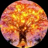 dims_animelove