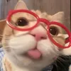 abcdefghijklmopqrstvwxy