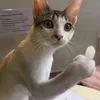 anh.la.cai_lonj