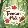 Treasure精品