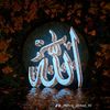 user484998430