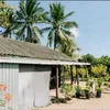 h.a.n.hphucoi