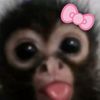 sophia_eats29