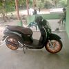 bayu21779