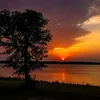 overcalm8