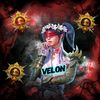 velon_pubg