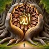 oman.yusuf3