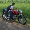 rendi_col68