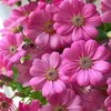 salem.karem1