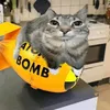 tyler.cat.tyler_c