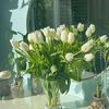 zeeana_211