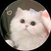 www.tiktok.minkyaw