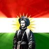 walidkhald371