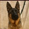 azou.hima3