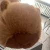 alicewob0