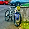 cartercampbell592