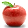 apple_318