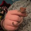 j.c..reptiles