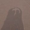 aizal_hu_yr7