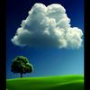 hnin.zaw53