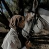 safa_89006