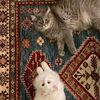 قرآن|Quran