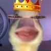 camille_plays1