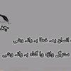 mibraheem1230