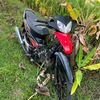 pinohitam3