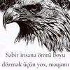 027e....b.........19