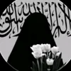 user7361952635503