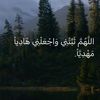 msfr.qahtan