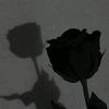 mohmmadbaker27