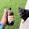 daltonjohn_25
