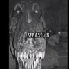 sebastinsalas6