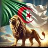 faycal.161