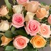 marie.madeleine645