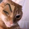 huntingrifleboy