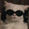 deepthink50